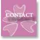 coordonnees, adresse et telephone