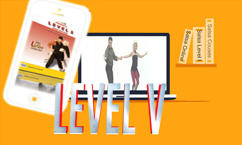 Level V Aiming High